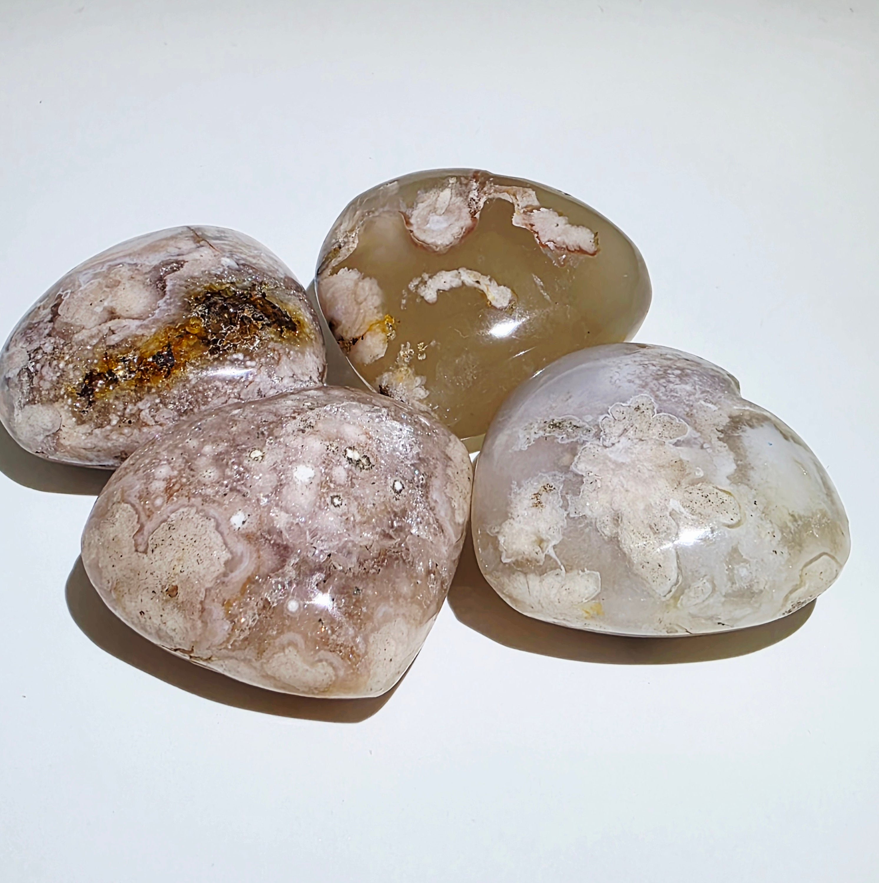 Madagascar Flower Agate Palm Stone – Growth & New Beginnings