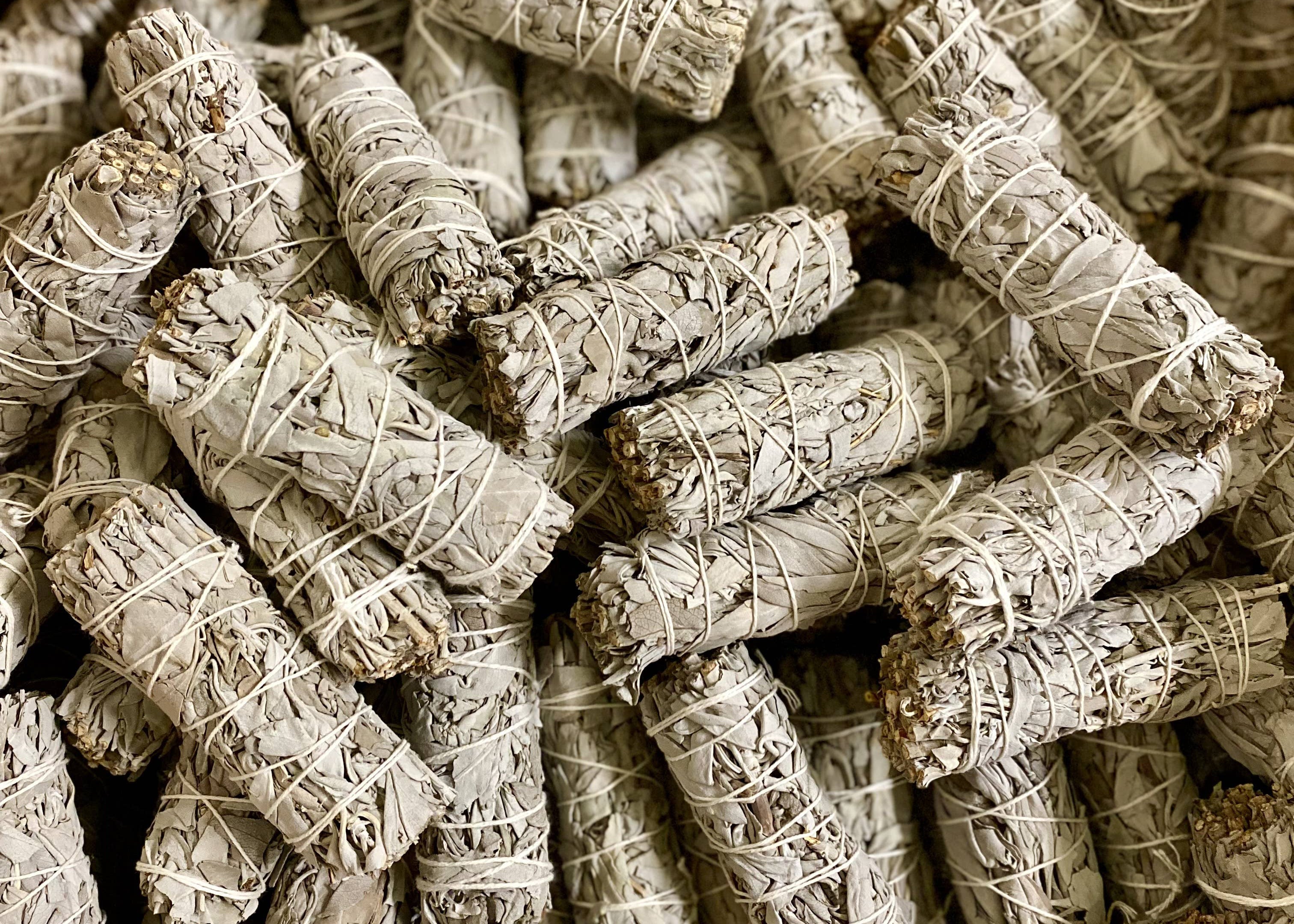California White Sage Smudge Sticks – Organic & Sustainable