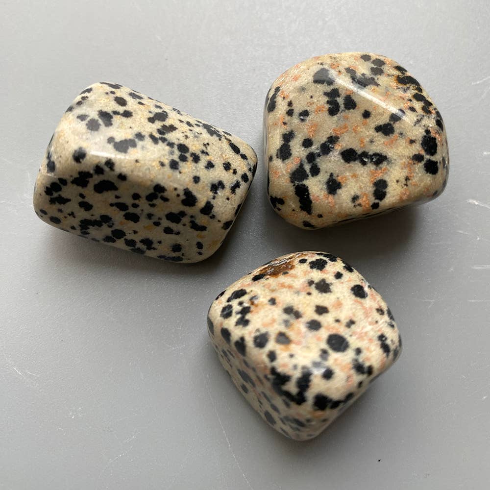 Dalmatian Jasper Tumbled Stone – Grounding & Playfulness – Black & White Speckled Stone