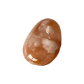 Flower Agate Tumbled Stone – Growth & Potential – Natural Crystal with Flower Inclusions
