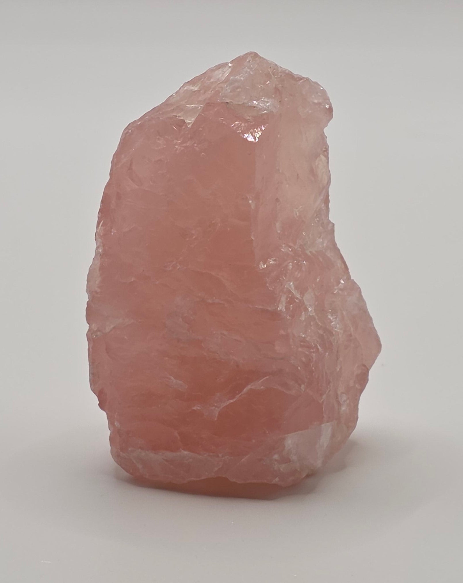 Raw rose quartz crystal stood with light refection, shimmer