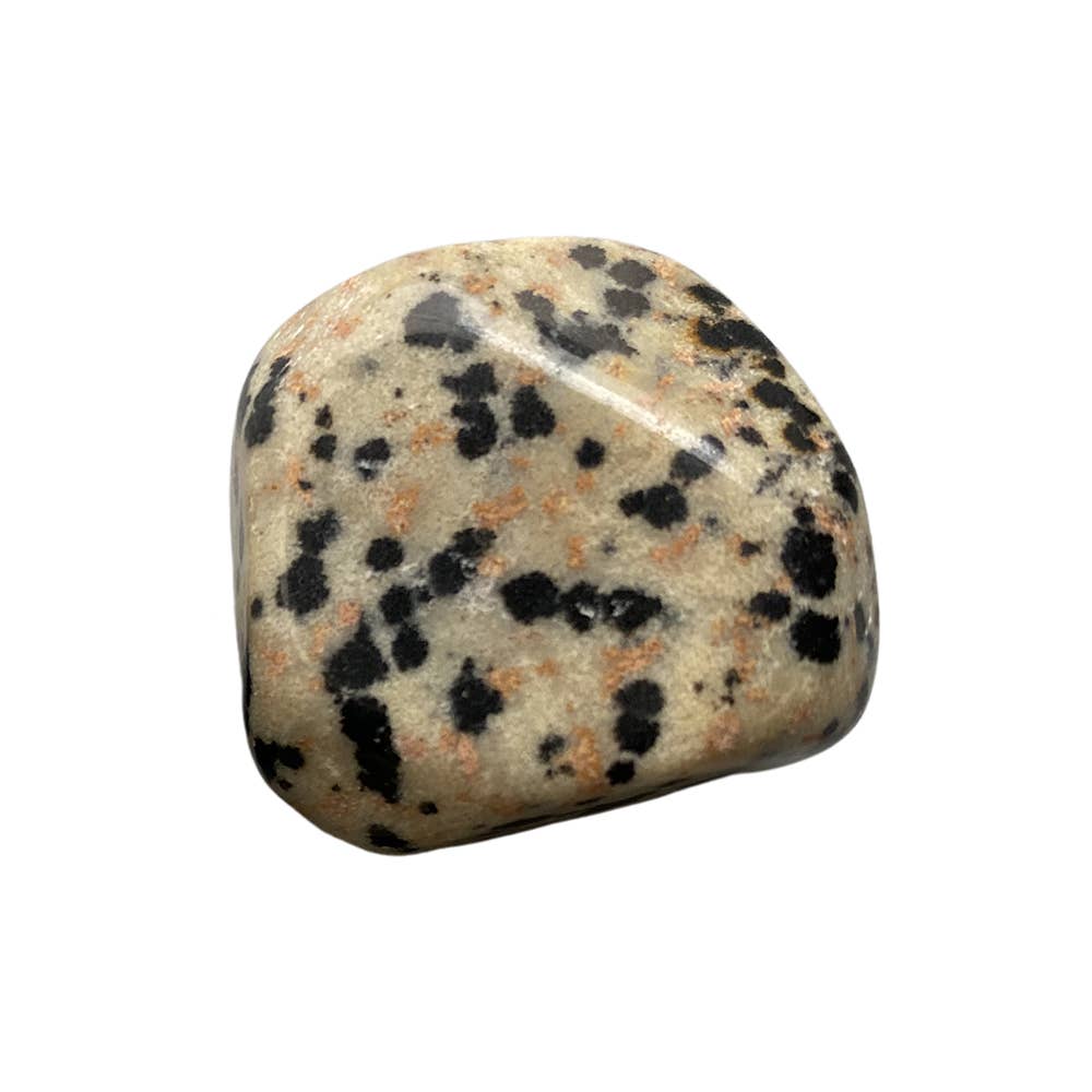 Dalmatian Jasper Tumbled Stone – Grounding & Playfulness – Black & White Speckled Stone