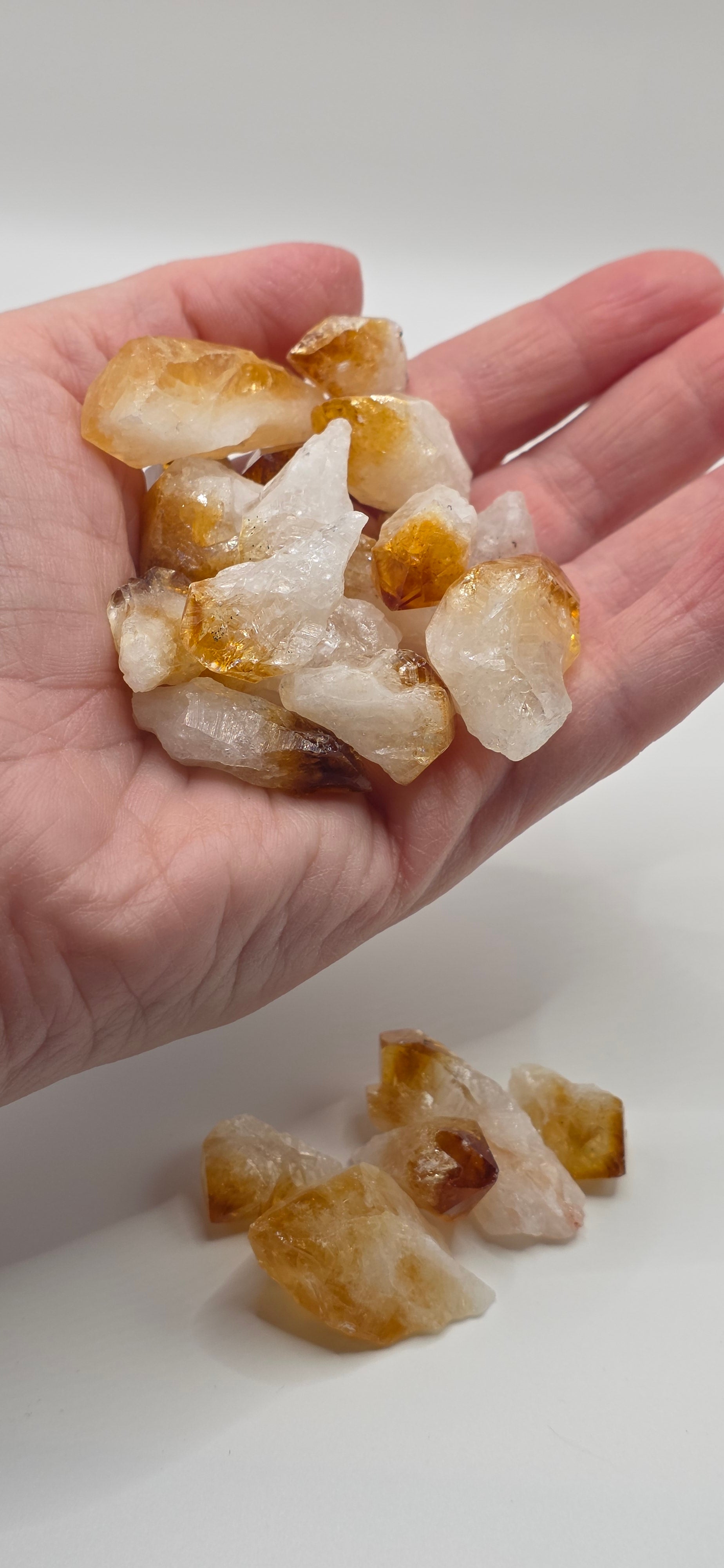 Natural citrine points held in a person's hand showing actual size – golden yellow Brazilian crystal tooth 2 to 3.5cm for manifestation
