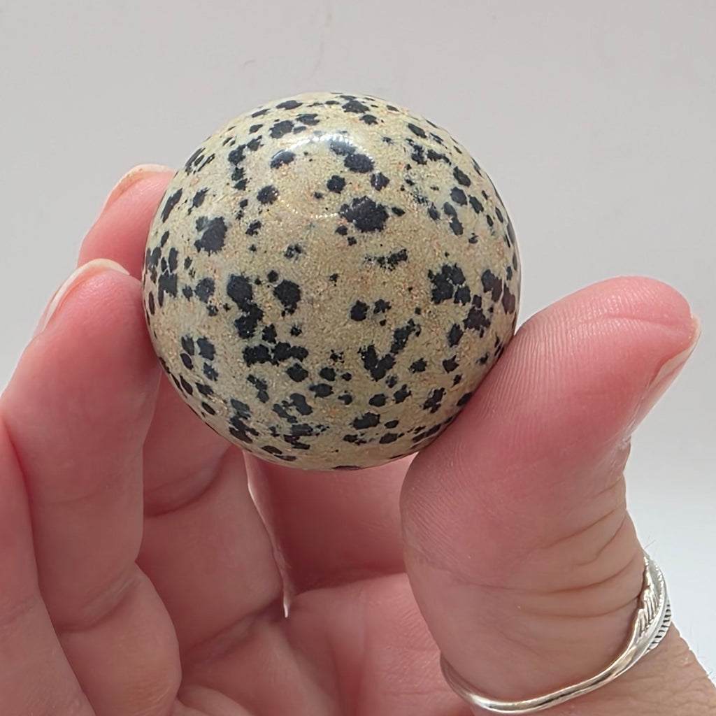 Dalmatian jasper sphere 35mm held between person's fingers – smooth polished crystal for inner child healing