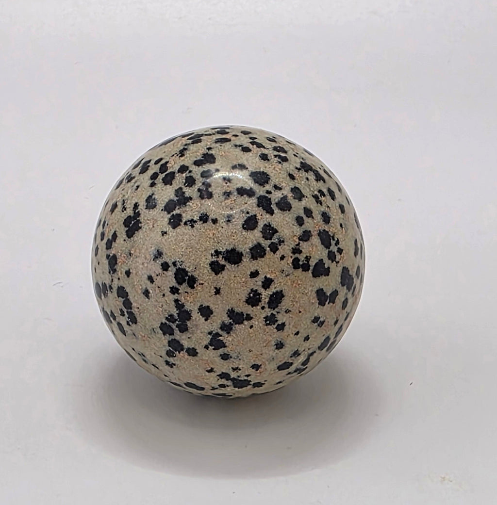 Dalmatian jasper crystal sphere 35mm on white background – polished black and white speckled stone for grounding and playfulness