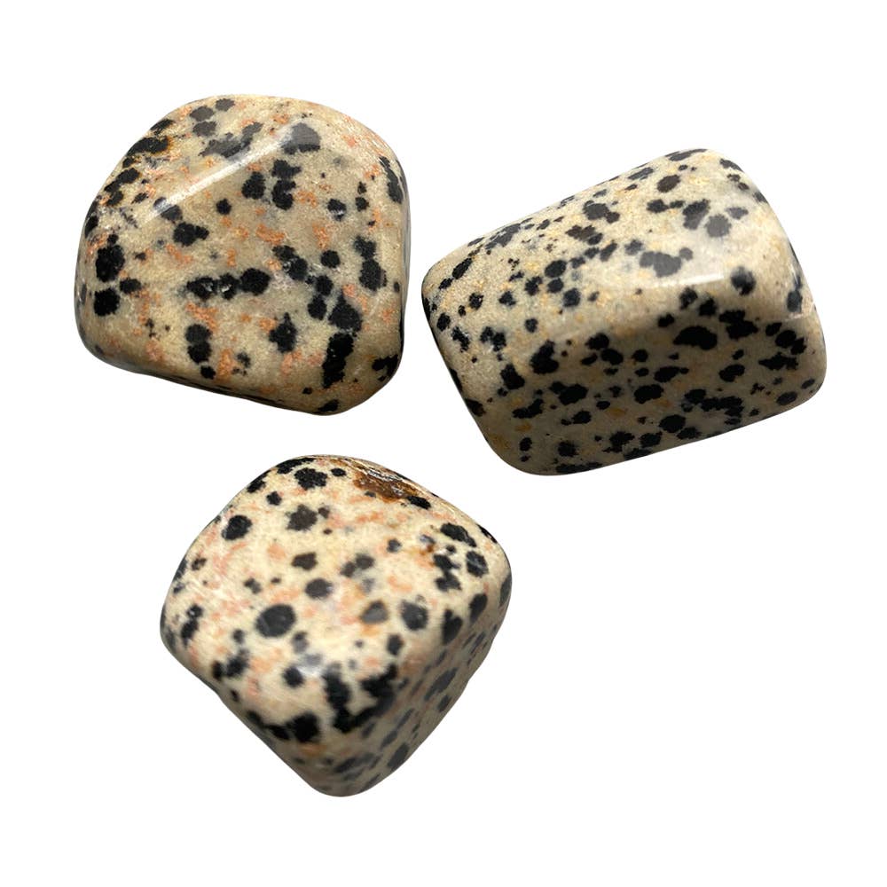 Dalmatian Jasper Tumbled Stone – Grounding & Playfulness – Black & White Speckled Stone
