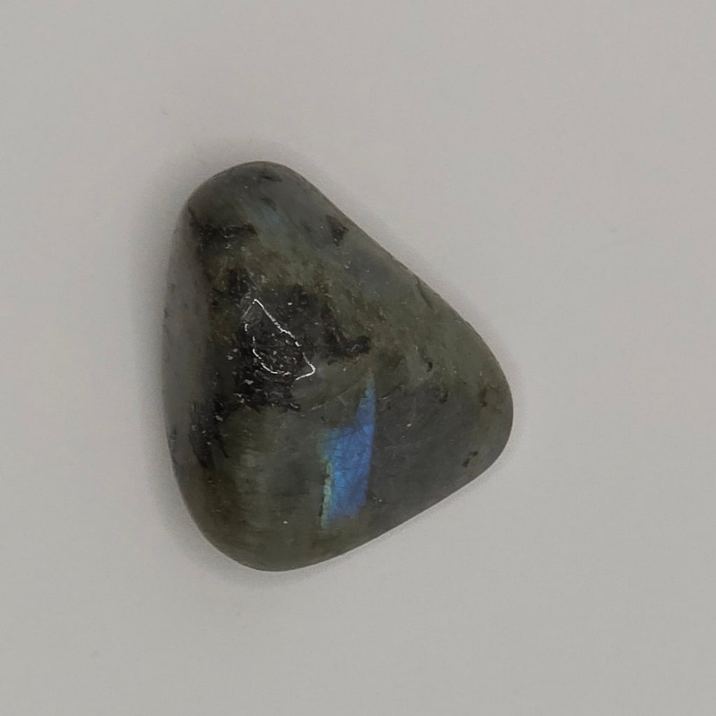 Birdseye view of Labradorite tumbled stone on white background – grey stone with blue-green iridescent flash – 2-3cm polished crystal for transformation