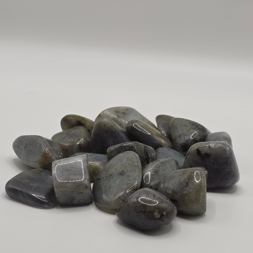 Group of Labradorite tumbled stones on white background – grey stones with blue-green iridescent flash – 2-3cm polished crystal for transformation