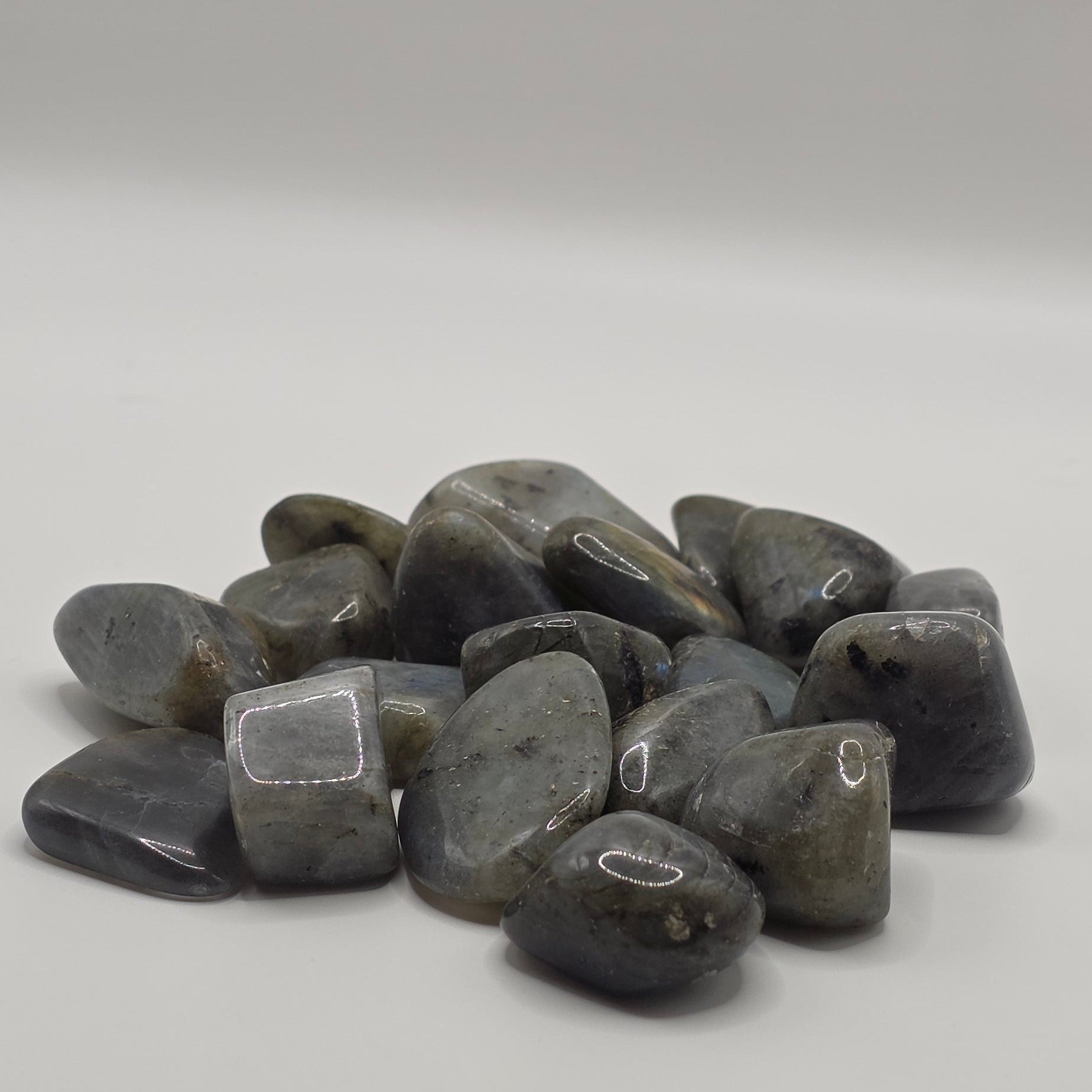 Group of Labradorite tumbled stones on white background – grey stones with blue-green iridescent flash – 2-3cm polished crystal for transformation
