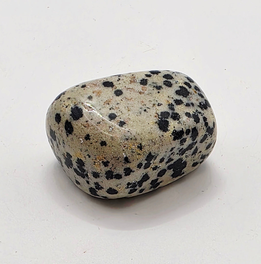 Dalmatian Jasper Tumbled Stone – Grounding & Playfulness – Black & White Speckled Stone