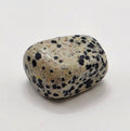 Dalmatian Jasper Tumbled Stone – Grounding & Playfulness – Black & White Speckled Stone