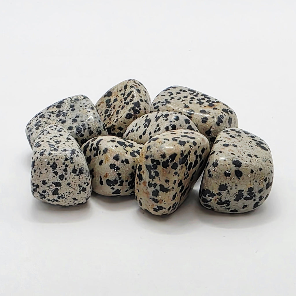 Dalmatian Jasper Tumbled Stone – Grounding & Playfulness – Black & White Speckled Stone