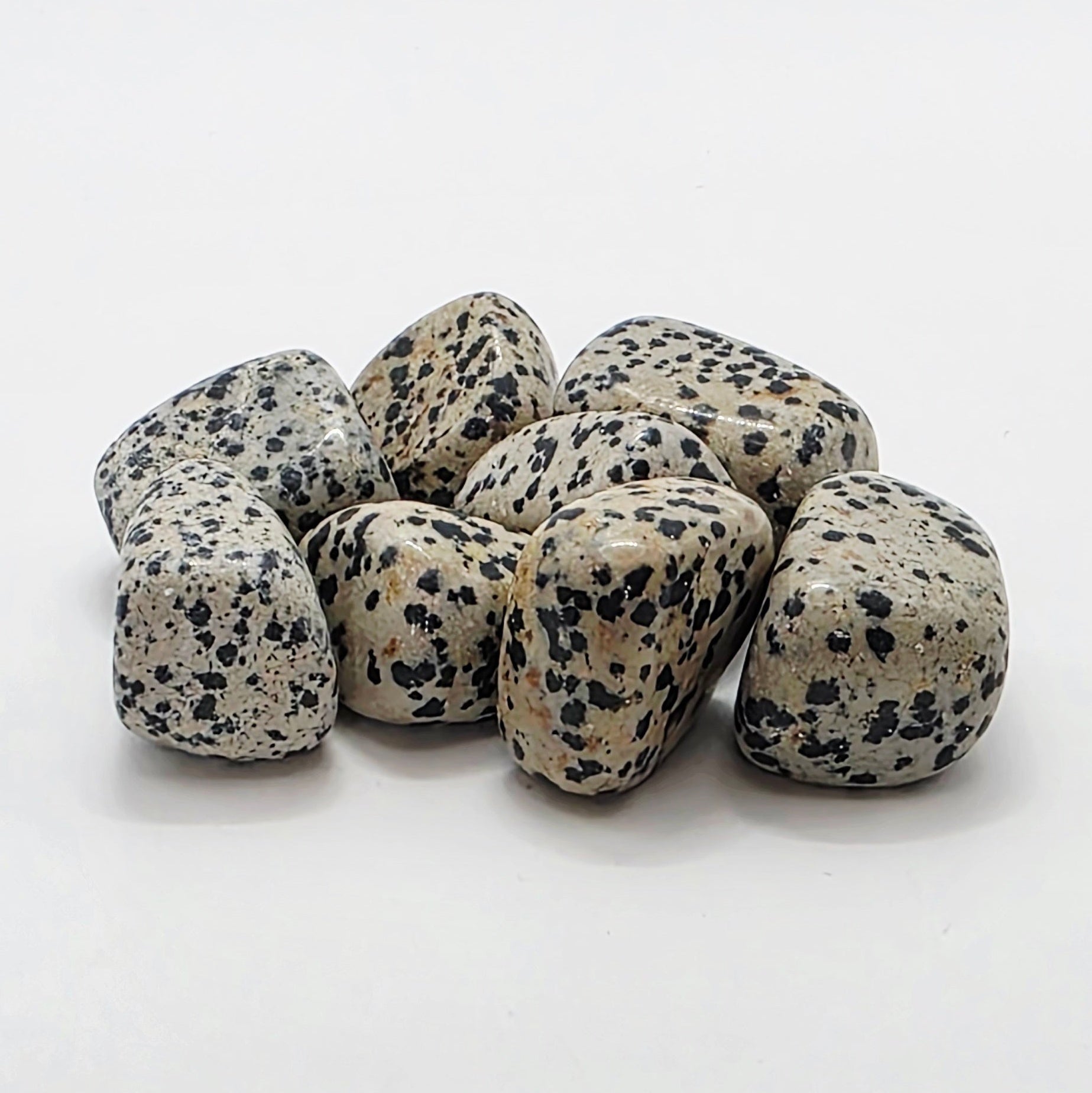 Dalmatian Jasper Tumbled Stone – Grounding & Playfulness – Black & White Speckled Stone