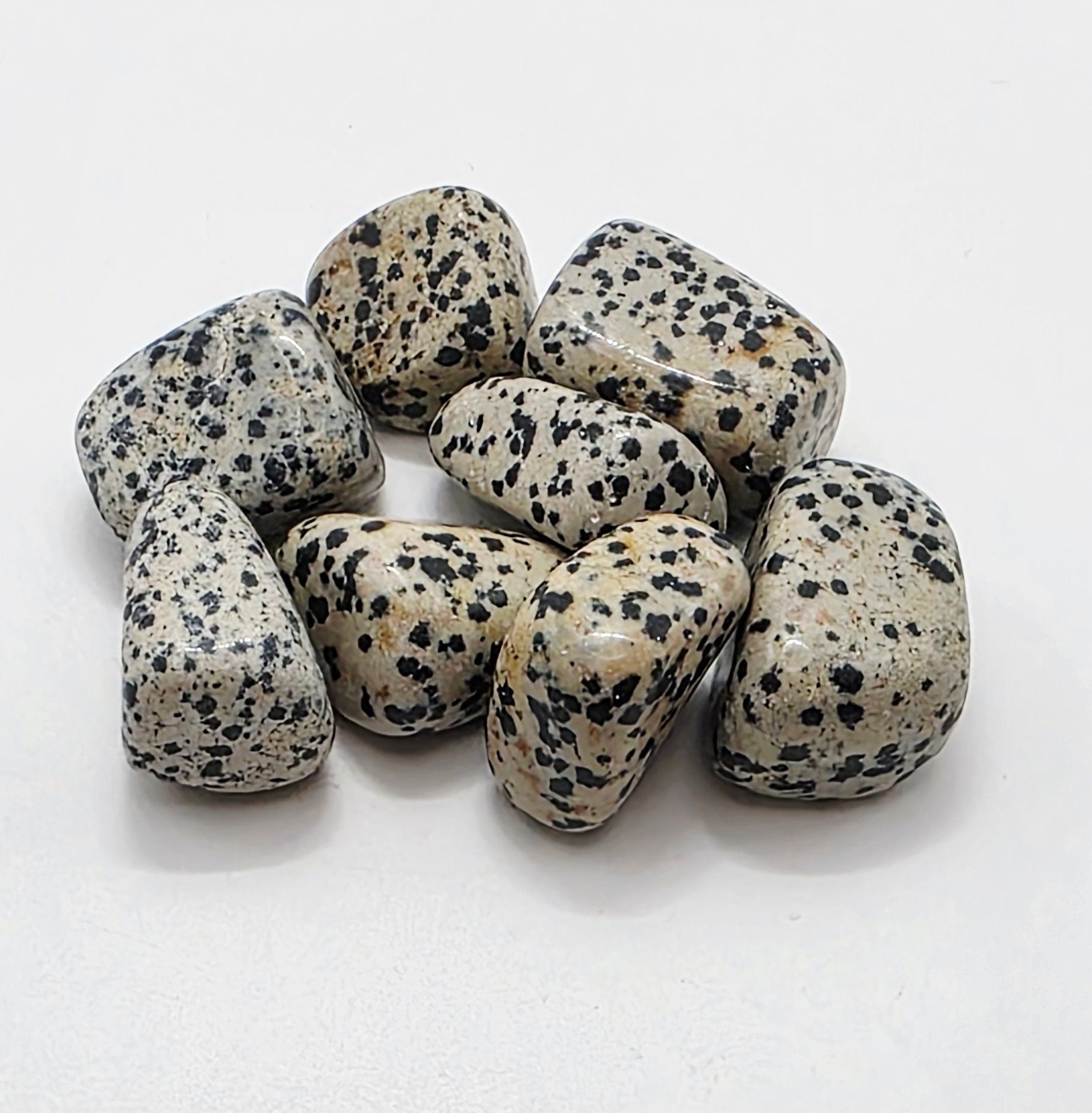 Dalmatian Jasper Tumbled Stone – Grounding & Playfulness – Black & White Speckled Stone