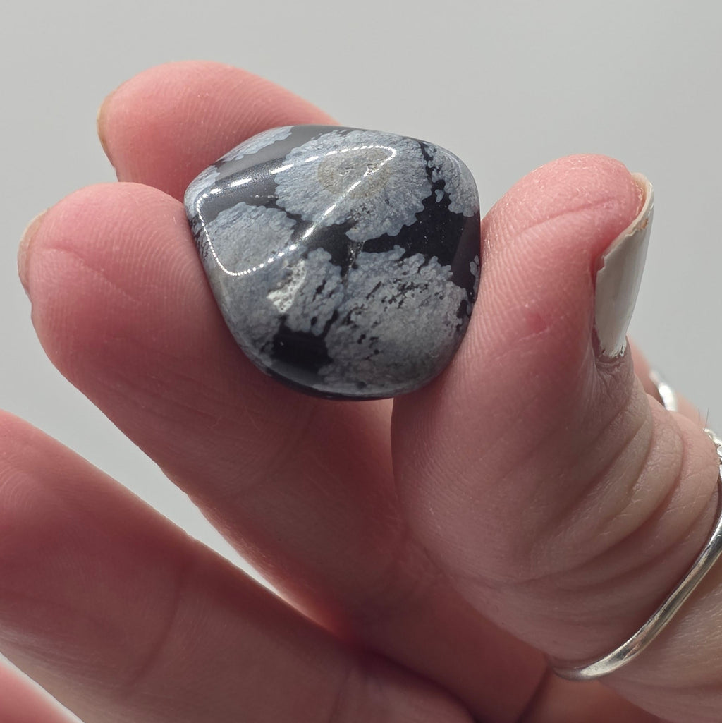 Snowflake Obsidian Tumbled Stone – 2-3cm – Purity & Clarity