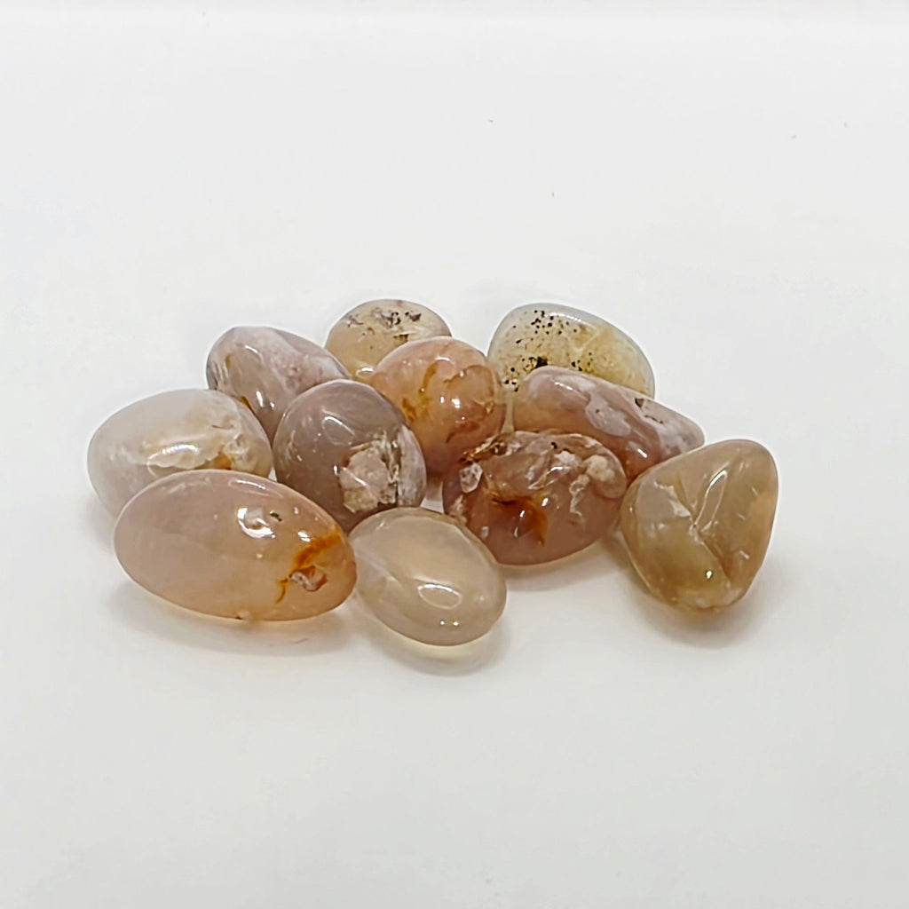 Flower Agate Tumbled Stone – Growth & Potential – Natural Crystal with Flower Inclusions
