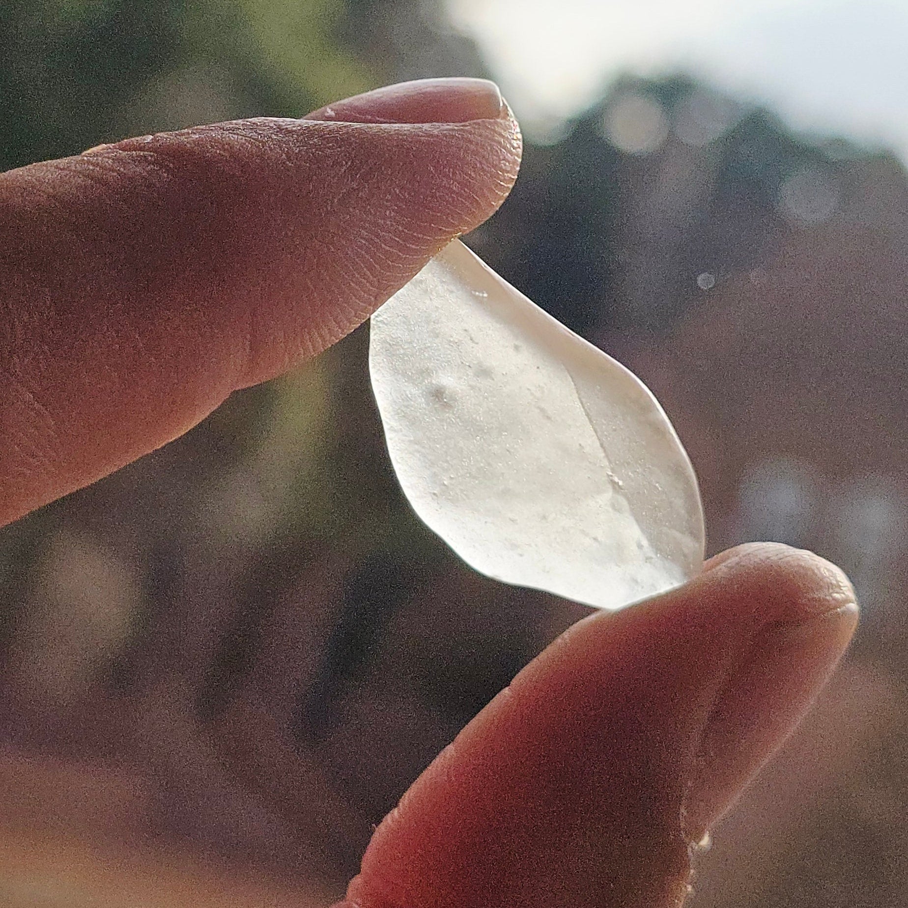 Libyan Desert Glass – Golden Tektite & Solar Energy (01)