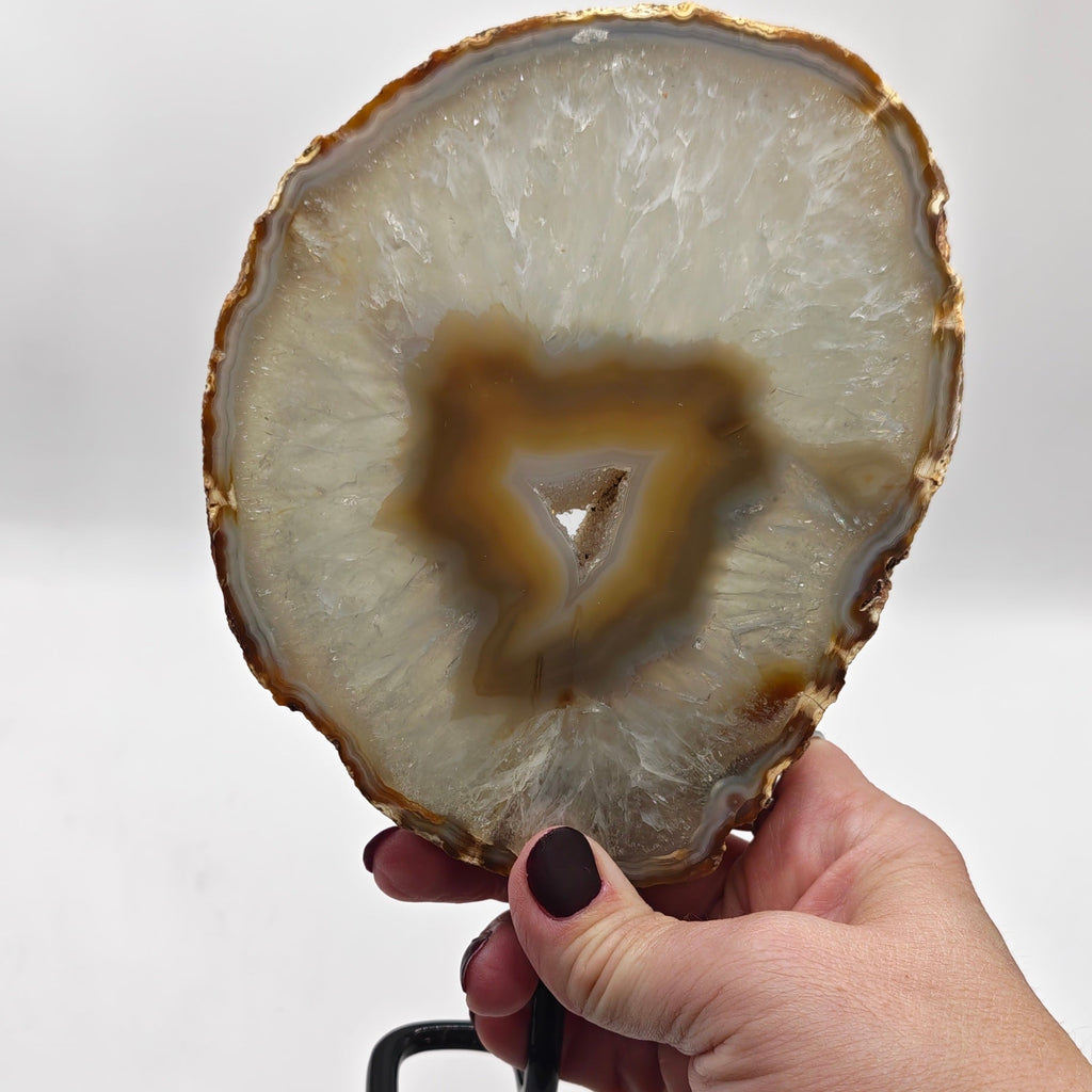 A hand holding a polished agate slice on a black metal base against a plain white background.
