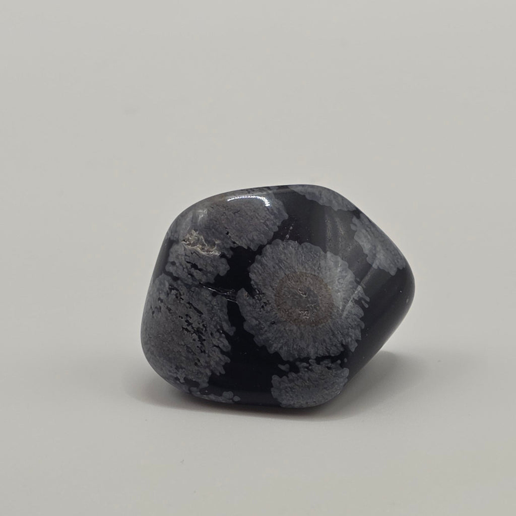Snowflake Obsidian Tumbled Stone – 2-3cm – Purity & Clarity