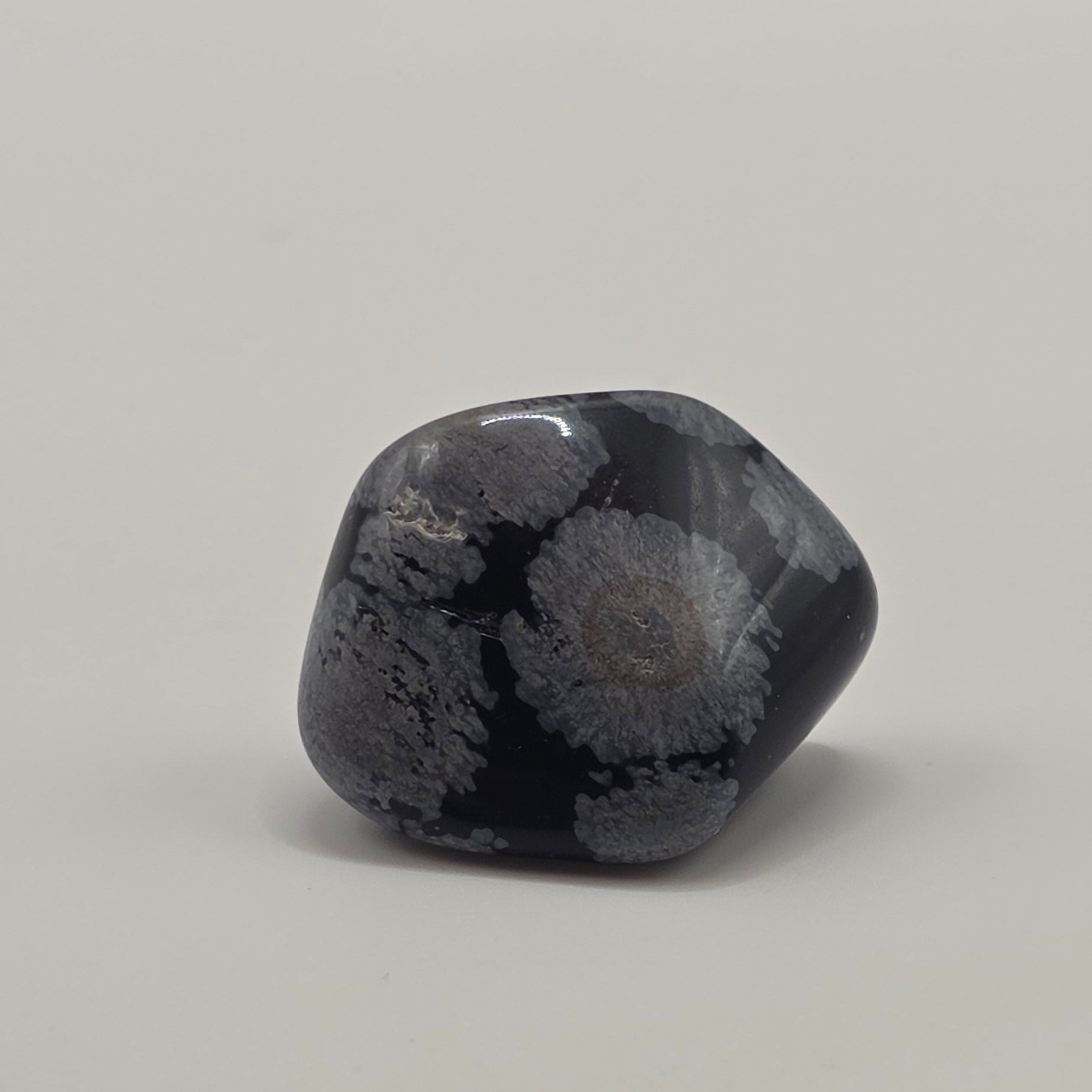 Snowflake Obsidian Tumbled Stone – 2-3cm – Purity & Clarity