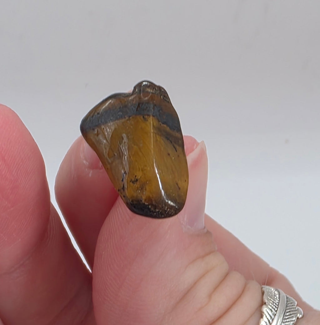 Hand holding a tiger's eye Earring with a plain background